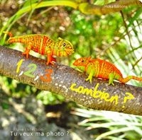 Deux geckos en raffia vert et orange se font face sur une branche d'arbre.