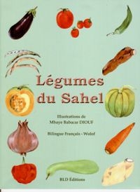 dessins de légumes sur fond vert clair