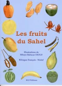 dessins de fruits sur fond bleu clair