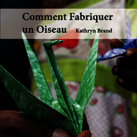 Couverture de : Comment fabriquer un oiseau ?