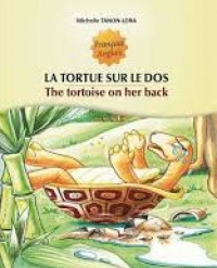 illustration de tortue sur le dos, sur un rocher dans la rivière