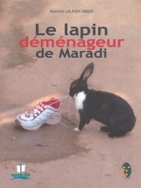 photo d'un lapin face à une chaussure de sport