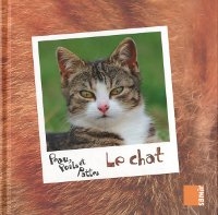 Photographie d'un chat tigré au centre de la couverture.