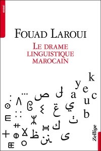 Des lettres de l'alphabet arabe, latin et amazigh se détachent sur un fond blanc