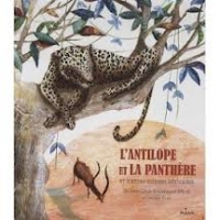 panthère sur une branche, surplombant un antilope