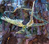 Illustration d'Irina Condé extraite de "ll était une fois… La Forêt sacrée". Nicolas Condé. Ganndal, Ruisseaux d’Afrique, Éburnie, Ntsame, Elondja, Graines de Pensées, 2020 Illustration d'Irina Condé extraite de "ll était une fois… La Forêt sacrée". Nicolas Condé. Ganndal, Ruisseaux d’Afrique, Éburnie, Ntsame, Elondja, Graines de Pensées, 2020