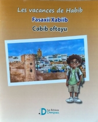 Les vacances de Habib Jeune garçon et carte postale du Maroc