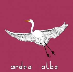 Ardéa Aléo, illustration de Mary-des-Ailes, 2021